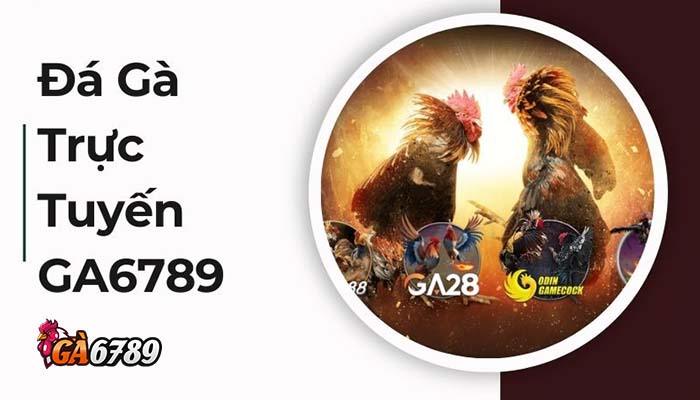 Đá Gà GA6789 - sân chơi đá gà online hàng đầu Việt Nam Đá Gà GA6789 - sân chơi đá gà online hàng đầu Việt Nam
