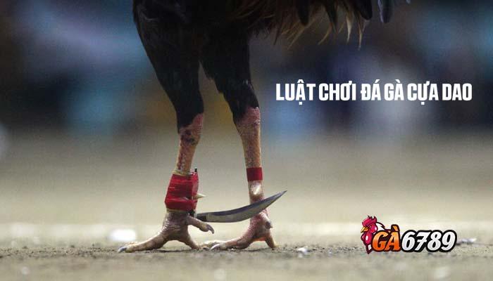 Luật chơi đá gà cựa dao tại GVUI Luật chơi đá gà cựa dao tại GVUI